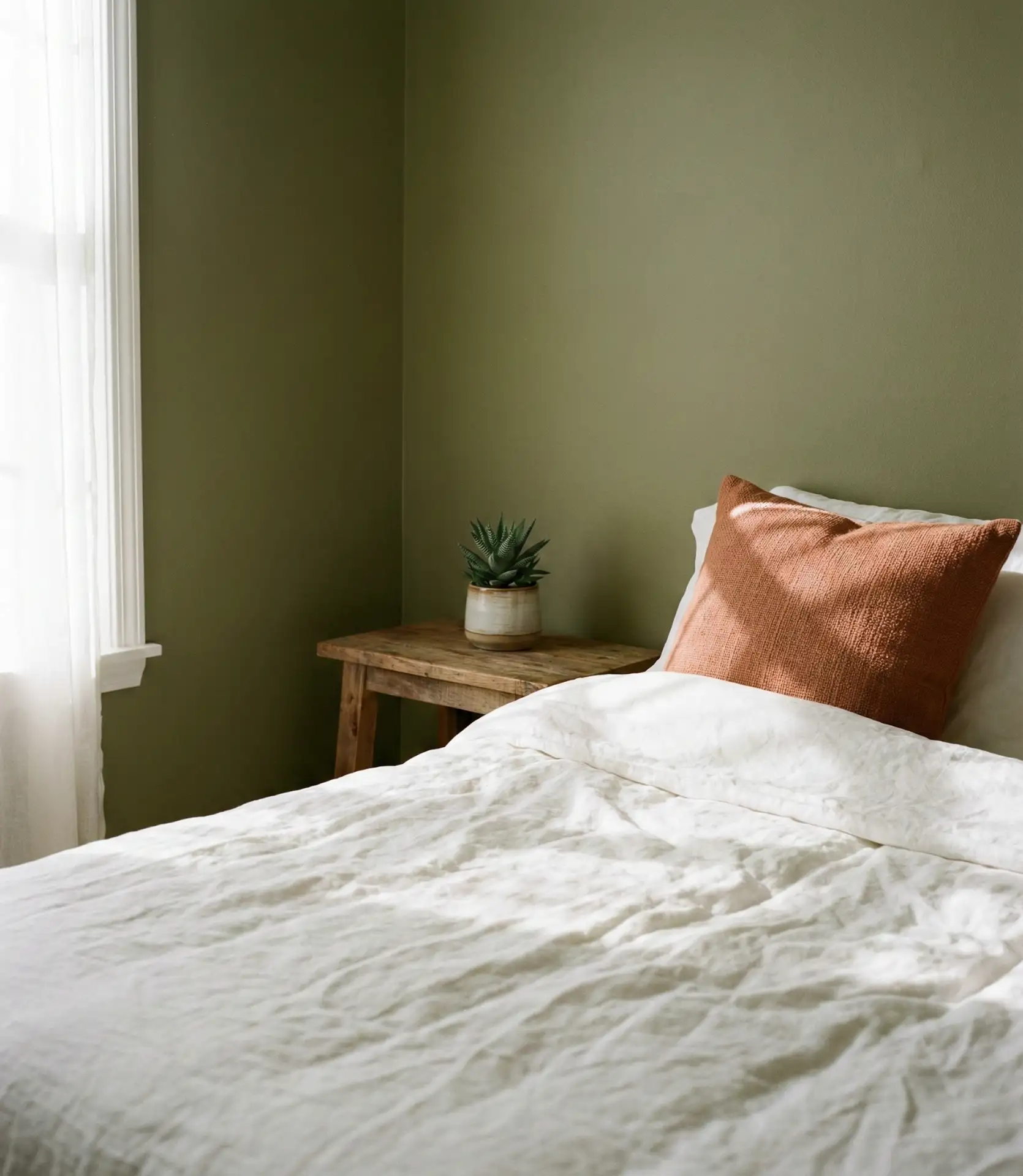 Olive Green and Terracotta Warmth 1